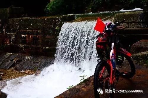 律师的性格特点有哪些？游戏画面