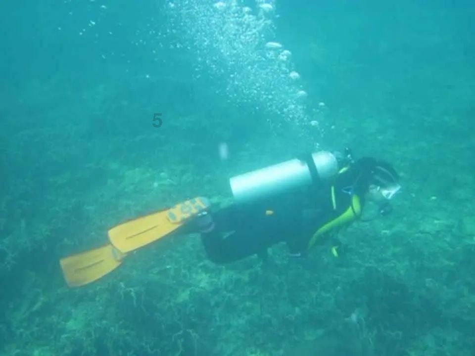 烘培蛋糕记忆卡