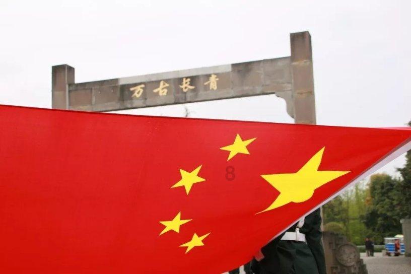 逗小猴开心系列203